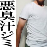 【ワークマン,ユニクロ,グンゼ】夏の悩み劇的解決インナー徹底比較！
