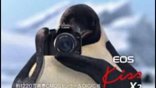 EOS Kiss X2 TV-CM ペンギン編