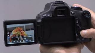 Canon EOS Kiss X5 (600D) (Rebel T3i) #DigInfo