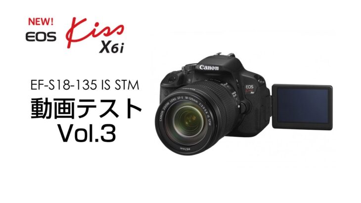 Canon EOS Kiss X6i／EF-S18-135 IS STM　動画テスト3