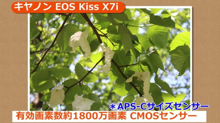 キヤノン EOS Kiss X7i(カメラのキタムラ動画_Canon)