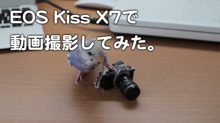 EOS Kiss X7 で動画撮影してみた。