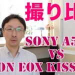 SONY a5100とCanon EOS Kiss X7iを撮り比べてみた。
