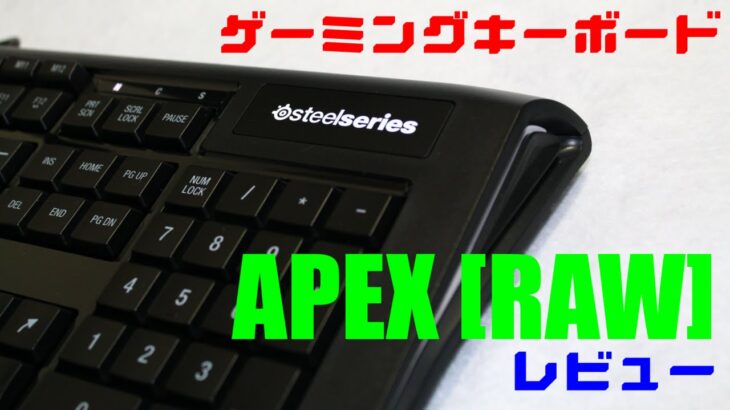 【マクロキー大量】ゲーミングキーボードレビュー : Steelseries APEX[RAW]