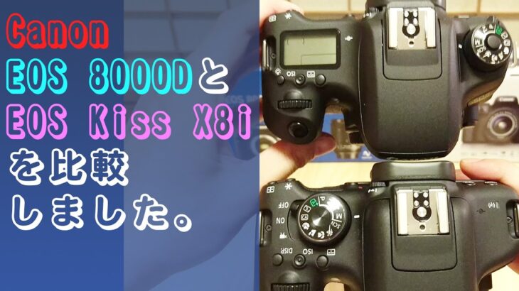【商品紹介】Canon EOS 8000DとEOS Kiss X8iを比較しました。