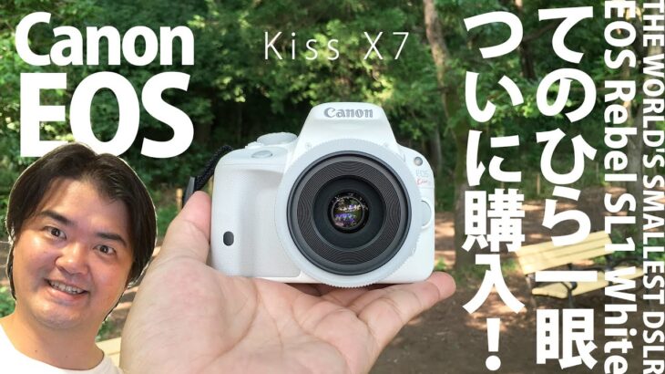【変わった？】Canon EOS Kiss X7 ホワイト ダブルレンズキット ついに購入！シンプルなデジタル一眼レフカメラ【レンズも白く】