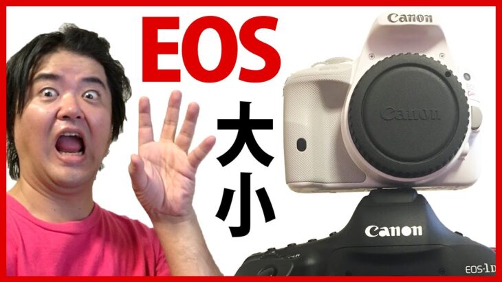 世界最小の一眼レフをEOSフラッグシップ機種と並べて比較してみた！Canon EOS 1D X Mark II vs EOS Kiss X7