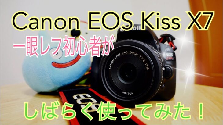 キヤノン EOS Kiss X7 一眼レフ初心者がしばらく使ってみた！