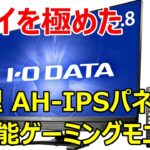 レビュー : 多機能ゲーミングモニター IODATA LCD-RDT242XPB 【乱入者現る！】