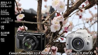 Canon PowerShot G7 X MarkⅡとCanon EOS Kiss X7　持ち歩きカメラにするならどっちがいいんだろう？