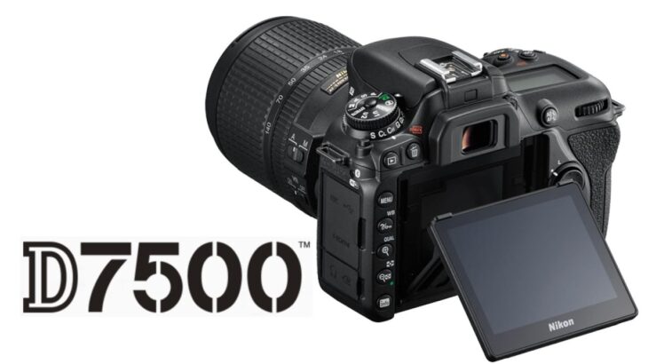 Nikon D7500 Preview (vs D500, D7200)