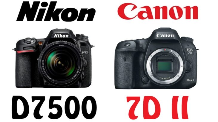 Nikon D7500 vs Canon 7D Mark II