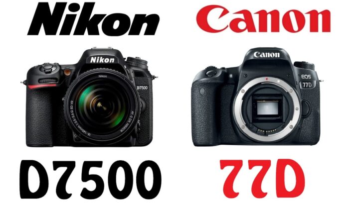 Nikon D7500 vs Canon EOS 77D