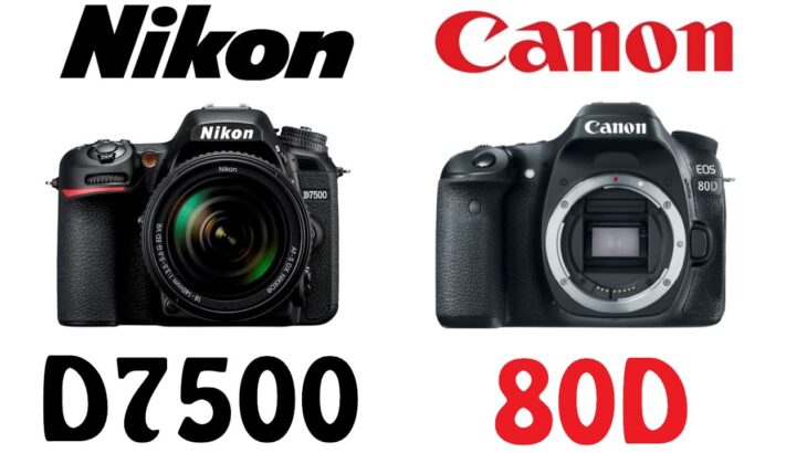 Nikon D7500 vs Canon EOS 80D