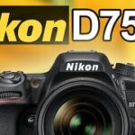 Nikon D7500! (vs Nikon D500, D7200, D5600 & Canon 77D, 80D, 7D)