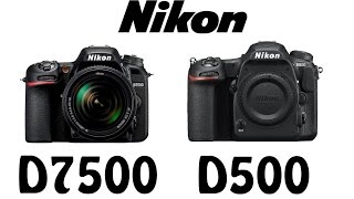 Nikon D7500 vs Nikon D500