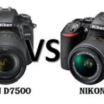 Nikon D7500 vs Nikon D5500 (Quick Comparison)