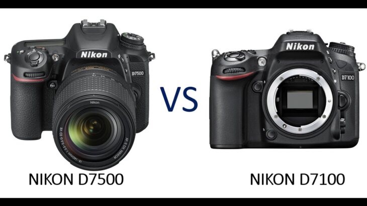 Nikon D7500 vs Nikon D7100
