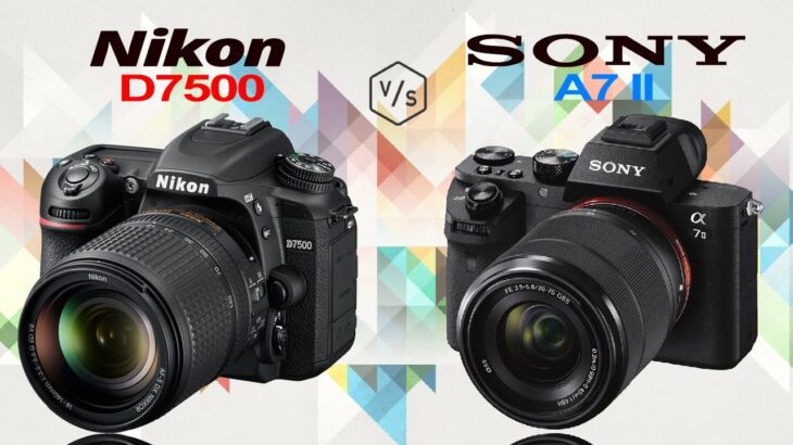 Nikon D7500 vs SONY A7 II