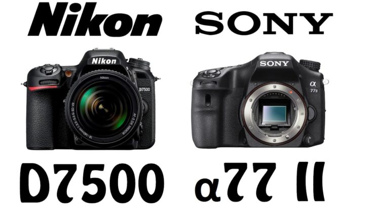 Nikon D7500 vs Sony α77 II
