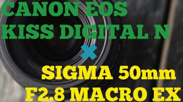 【レンズレビュー】SIGMA 50mm F2.8 MACRO EX ×CANON EOS KISS DIGITAL N【APS-C対応】