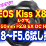 【検証】はじめてのキスデジ！EOS Kiss X8i で試し撮り！シグマ17-50mm F2.8 EX DC HSM[#130]