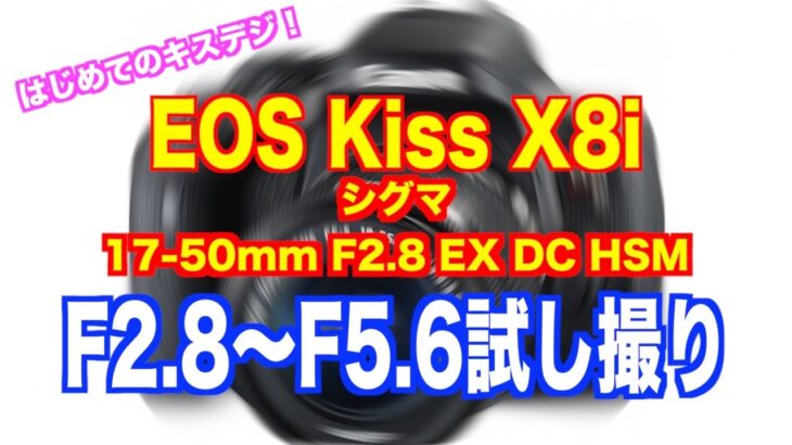 【検証】はじめてのキスデジ！EOS Kiss X8i で試し撮り！シグマ17-50mm F2.8 EX DC HSM[#130]