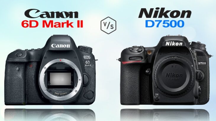 Canon 6D Mark II vs Nikon D7500
