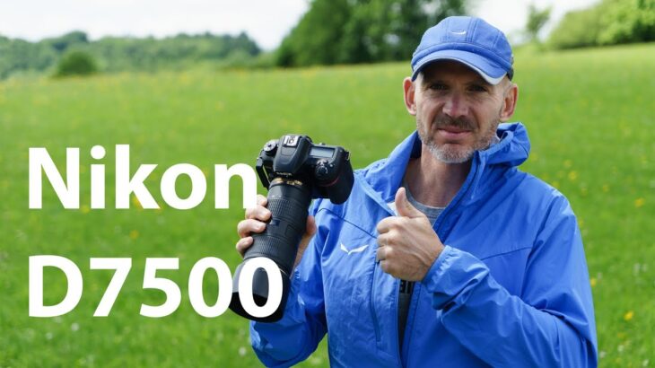 Nikon D7500 Kurz-Test – Review