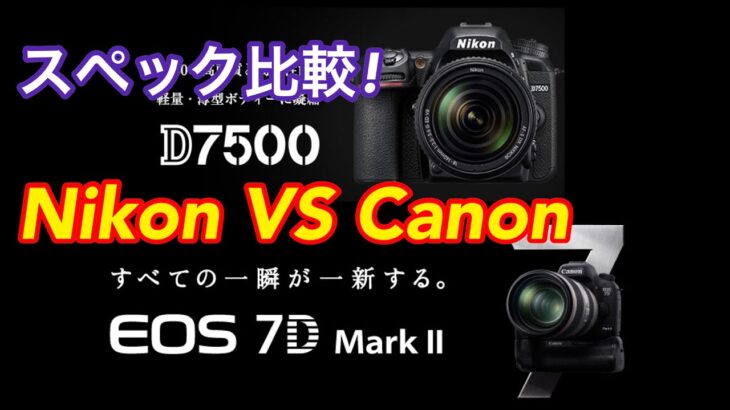 ☆C♪R☆ Nikon D7500 VS Canon 7D2(7D MarkⅡ）スペック比較!! ニコンVSキヤノン