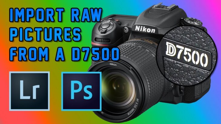 How to Import RAW Pictures from a NIKON D7500 into Lightroom