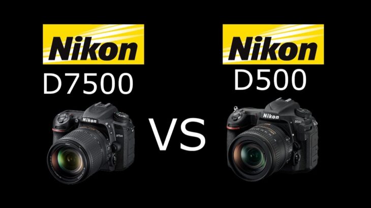 Nikon D7500 vs Nikon D500 en Español | VS Digital