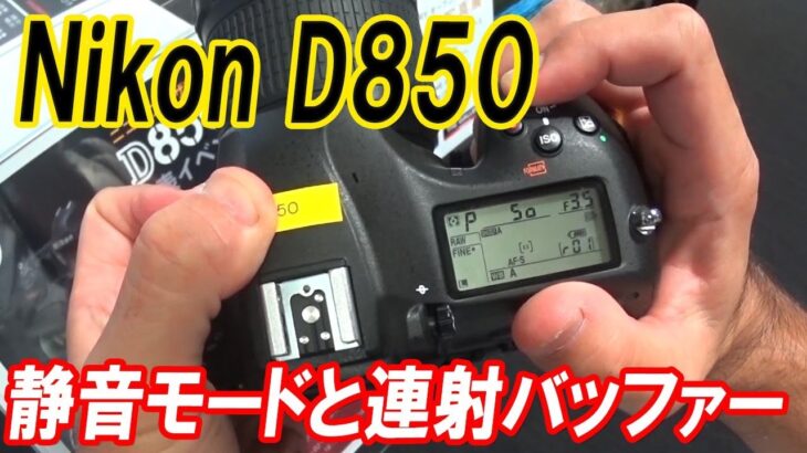 【D850】boost buffer Nikon 連写 バッファーテスト【ニコン】