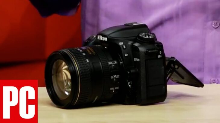 Nikon D7500: One Cool Thing