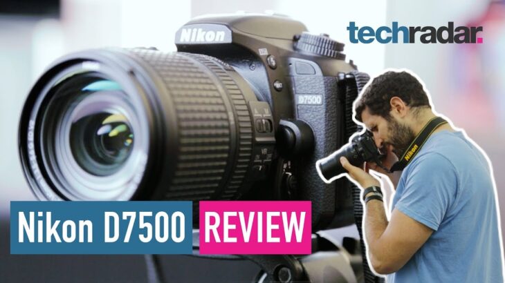 Nikon D7500 review: 4K video, 8fps burst and excellent performance