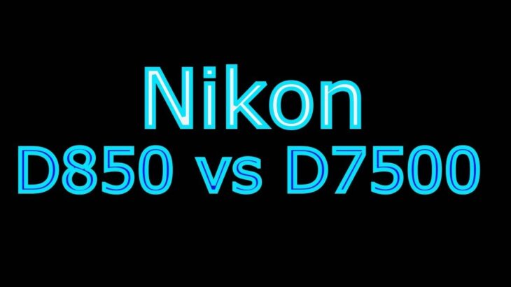 Nikon D850 vs D7500