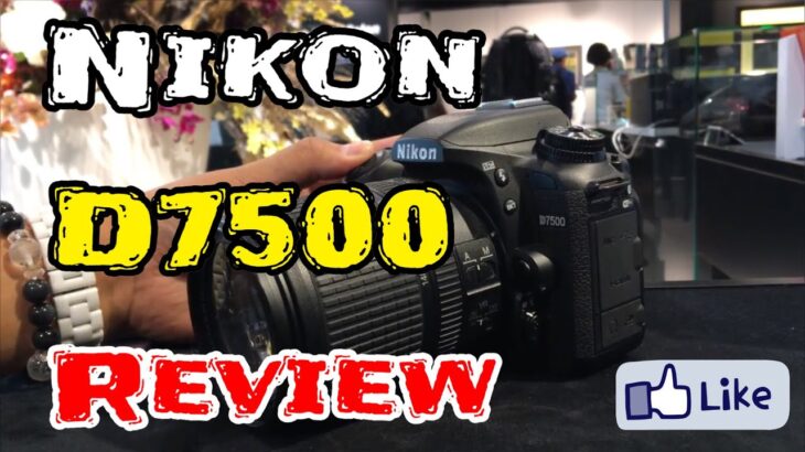 ☆C♪R☆ Nikon D7500 ！実機確認☆D750&D500と実機比較‼ ニコンショールーム！