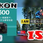 ☆C♪R☆ 『Nikon D7500』ISO感度!画質検証!!  高感度ノイズ検証!! ニコンレビュー☆※できれば全画面にてご覧ください☆