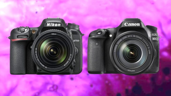 Canon 80D vs Nikon D7500 or WAIT for Canon 90D?