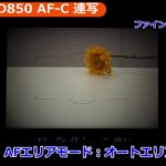ニコン D850 オートフォーカス／AF-C＆連写（カメラのキタムラ動画_Nikon）