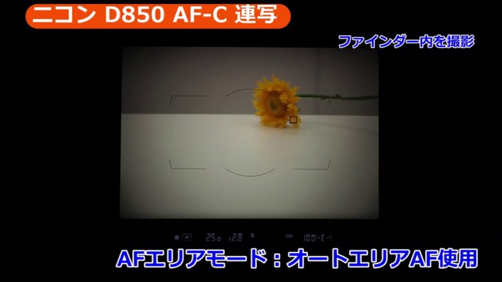 ニコン D850 オートフォーカス／AF-C＆連写（カメラのキタムラ動画_Nikon）
