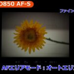 ニコン D850 オートフォーカス／AF-S（カメラのキタムラ動画_Nikon）