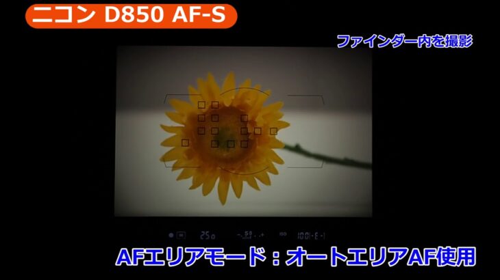 ニコン D850 オートフォーカス／AF-S（カメラのキタムラ動画_Nikon）