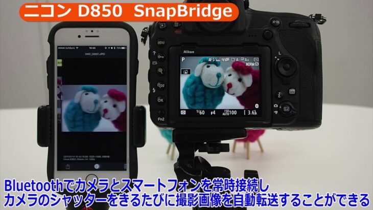 ニコン D850 SnapBridge スマホ連携（カメラのキタムラ動画_Nikon）