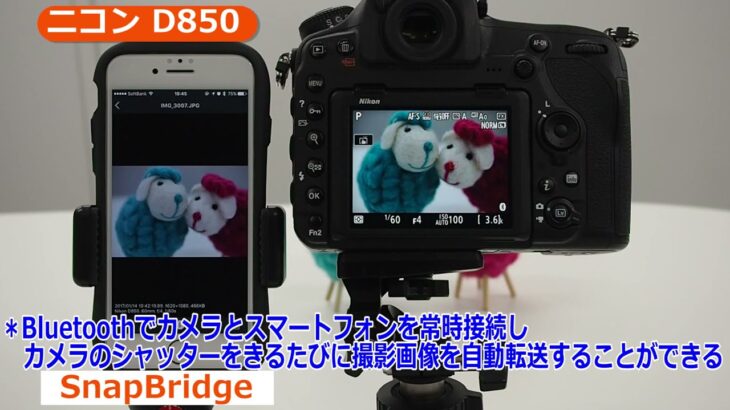 ニコン D850 説明動画（カメラのキタムラ動画_Nikon）