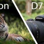 Nikon D7500 Review – Powerful But Not Perfect