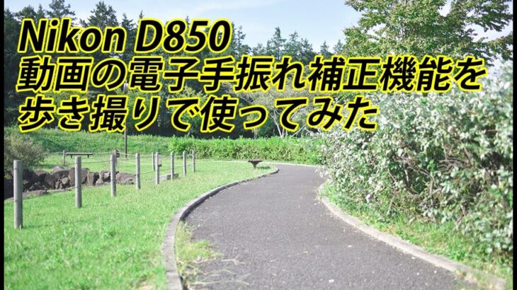 Nikon D850 動画の電子手振れ補正機能を 歩き撮りで使ってみた