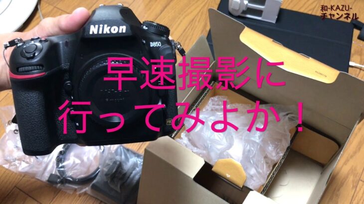 Nikon D850開封して撮ってみた！(後半作例+設定紹介)