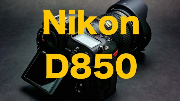 Nikon D850・AF-S NIKKOR 24-120mm f/4G ED VR・SONY XQD Gシリーズ・XQDカードリーダー・ケンコートキナZX プロテクター諸々ご紹介！！