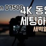 니콘 D7500 4K 동영상 세팅 촬영하기 – 새벽 소래습지공원 편 –